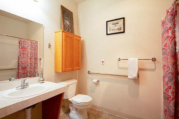 Avamere at Albany Apartment Bathroom